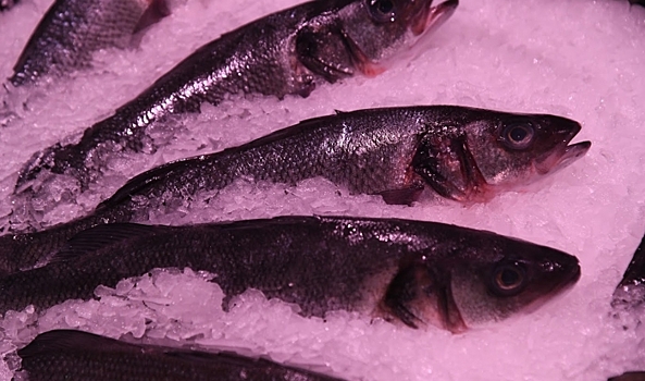 В Волгоградской области на 13% вырос объем производства рыбной продукции