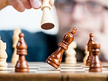 Мастер-класс для юных «гроссмейстеров» пройдет на Верхних Полях
