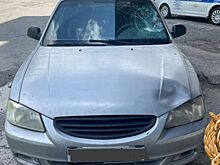 В Ростовской области на пешеходном переходе сбили женщину