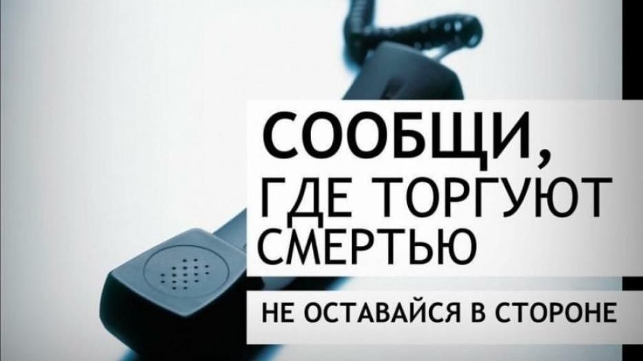 Вологда присоединится к Общероссийской акции «Сообщи, где торгуют смертью»