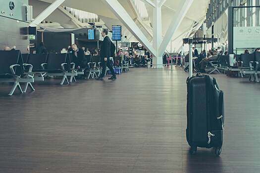Домодедово выдал пассажирам Emirates почти весь багаж, задержанный из-за дождей в ОАЭ