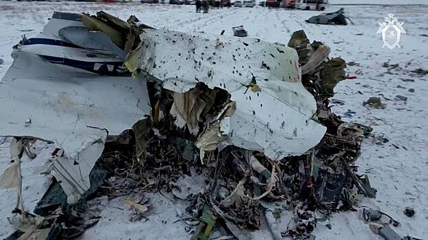 Во Франции назвали ситуацию с крушением Ил-76 свидетельством вечной лжи Киева