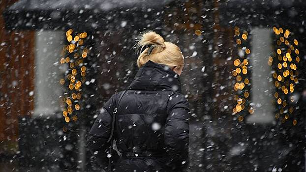 Синоптик Шувалов рассказал, будут ли снегопады в Москве до конца ноября