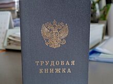 Брифинг «Электронная трудовая книжка» ПРЯМАЯ ТРАНСЛЯЦИЯ