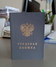 Брифинг «Электронная трудовая книжка» ПРЯМАЯ ТРАНСЛЯЦИЯ