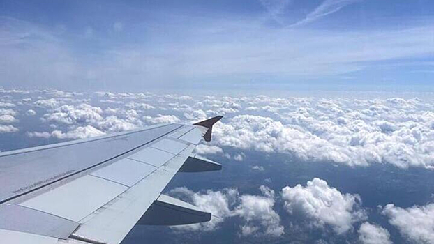 Из багажа россиянки украли драгоценности на рейсе Turkish Airlines