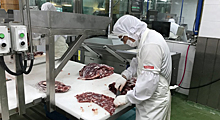 Как мы контролируем качество мяса в Южной Корее с помощью блокчейна