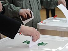 Глава Мосгоризбиркома дал прогноз по явке