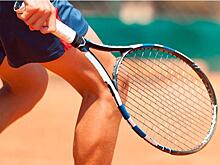 Пятиэтажный теннисный центр построят в Покровском-Стрешневе