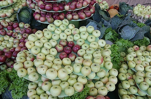 В Воронеже нашли причины слабого интереса к страхованию садов