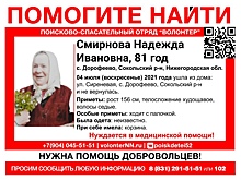 Уже пятые сутки поисковики ищут 81-летнюю бабушку в лесу Сокольского района