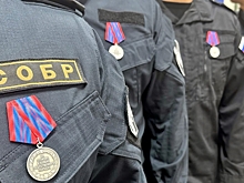 Волгоградским бойцам СОБР «Вектор» вручили госнаграды