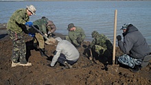 «Росток» примет участие в поисковых работах в городе Армянске