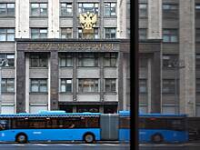 В Госдуме назвали предварительные расчеты для «налога на бездетность»