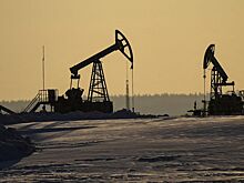 В августе Россия увеличила экспорт нефтепродуктов в Бразилию