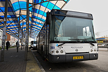 Порядка 400 гостей фестиваля «В будущее без границ» перевезли автобусы «Мострансавто»