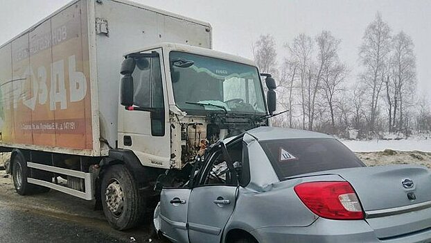 Два человека погибли в ДТП с грузовиком торговой сети «Гроздь» под Саратовом