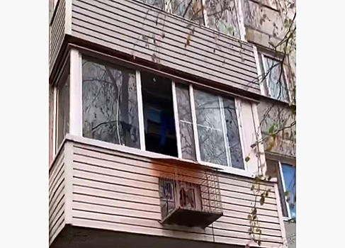 Балкон для собаки в московской многоэтажке попал на видео