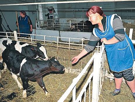 Племхозяйства смогут вернуть часть затрат на проведение молекулярной генетической экспертизы