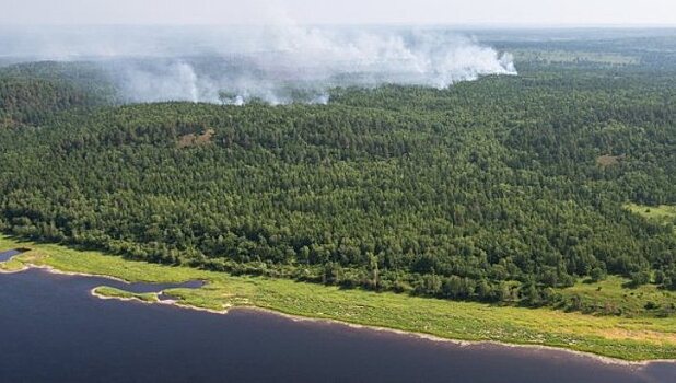 Около 225 гектаров леса сгорело за сутки на Дальнем Востоке