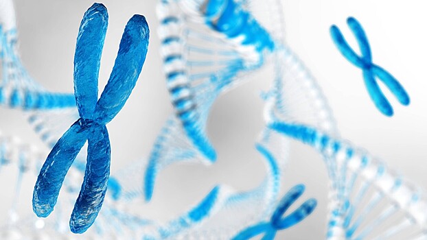 Ученые создали новую структуру ДНК