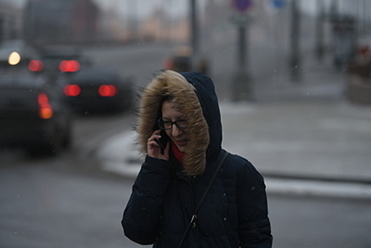 Жителей Подмосковья по СМС предупредили о сильном ветре во вторник