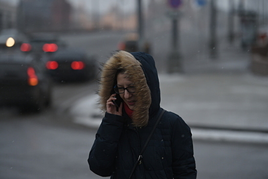 В Москве и Подмосковье объявлен «желтый» уровень погодной опасности