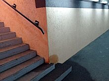 «Как на стройке, ей-богу»: что происходит в Макс Ашманн-парке