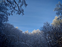 Стало известно, кто займется благоустройством парка 777-летия Нижнего Новгорода