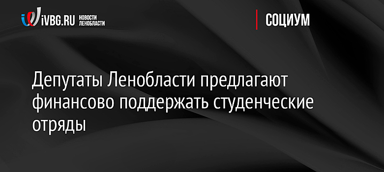 Депутаты Ленобласти предлагают финансово поддержать студенческие отряды