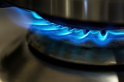 В Совфеде призвали разобраться в ситуации с ценообразованием на бытовой газ