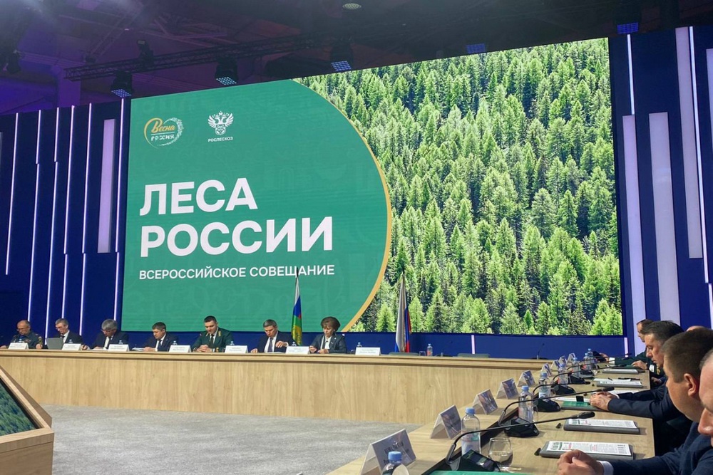 На всероссийском совещании «Леса России» представили лучшие практики Прикамья