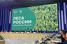 На всероссийском совещании "Леса России" представили лучшие практики Прикамья