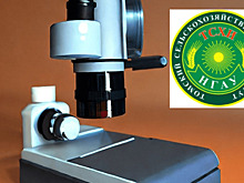 Кузница «агроумников» - Томский сельхозинститут отмечает 30-летие