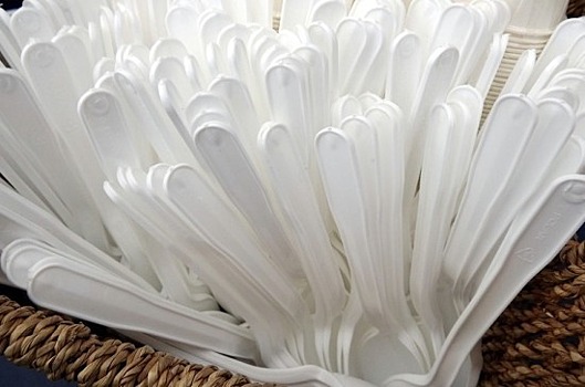 Глава Правительства не исключил в перспективе запрета пластиковой одноразовой посуды