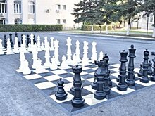 О сохранности шахмат у мэрии Пензы позаботились