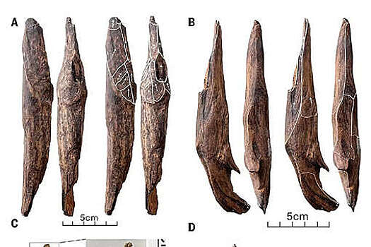 Science: орудия возрастом 300 тысяч лет поменяли представление о "каменном веке"