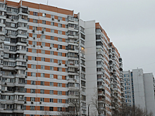 В десятках домов Подмосковья УК сменилась без ведома жильцов и устроила мусорный коллапс