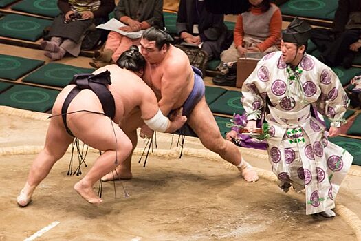 Как борцы сумо повышают уровень тестостерона