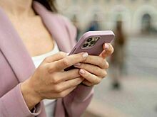 Когда в России появится аналог Instagram*