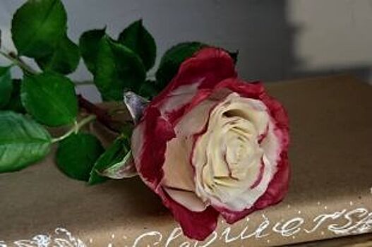 Настоящее чудо! Алтайская мастерица «выращивает» цветы из фарфора