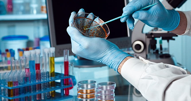 В три больницы в Санкт-Петербурге занесли коронавирус. Они закрыты