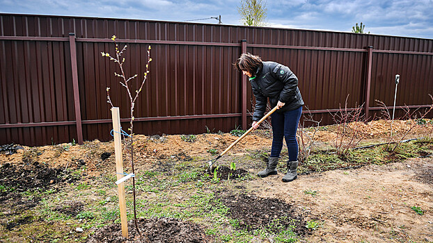 Более 2,6 тысячи многодетных семей получили земельные участки в Подмосковье с начала года