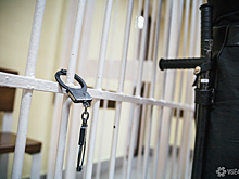 Суд арестовал судмедэксперта по делу о смерти замглавы департамента культуры Москвы