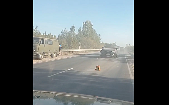 Под Дубровичами Mazda попала в ДТП