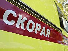 Четырехлетняя девочка сгорела заживо на глазах у матери в Ленобласти
