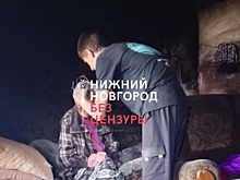 Нижегородская прокуратура начала проверку после зверского избиения пенсионерки