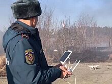 МЧС поделилось советами по подготовке к походу в лес
