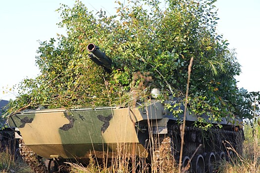 Более 1 500 военнослужащих и около 250 единиц боевой и специальной техники задействовано в тактическом учении гвардейского десантно-штурмового полка на полигоне «Струги Красные» под Псковом