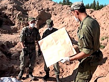 Лики зла: зачем Запад укрывает военных преступников и пособников фашистов